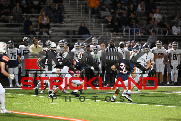 MSP_0392