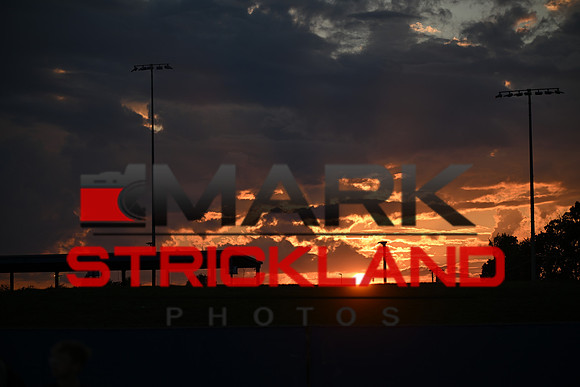 MZ9_6884