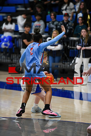 MSPhotos_MSP_8341