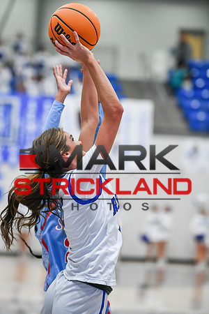 MSPhotos_MSP_8370