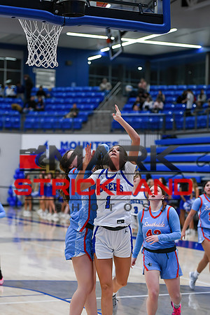 MSPhotos_MSP_8387