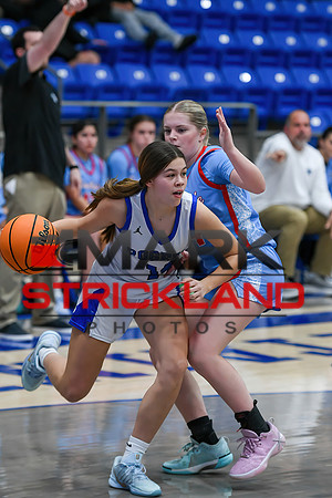 MSPhotos_MSP_8416