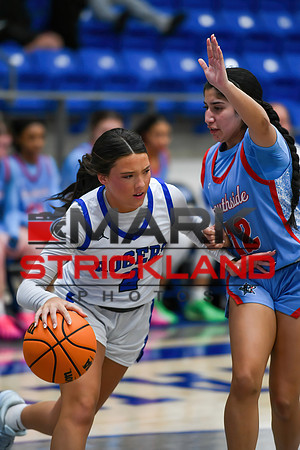 MSPhotos_MSP_8434