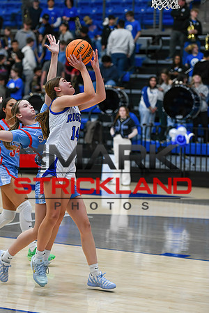 MSPhotos_MSP_8464
