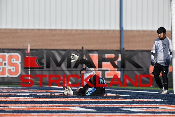 MZ9_9335