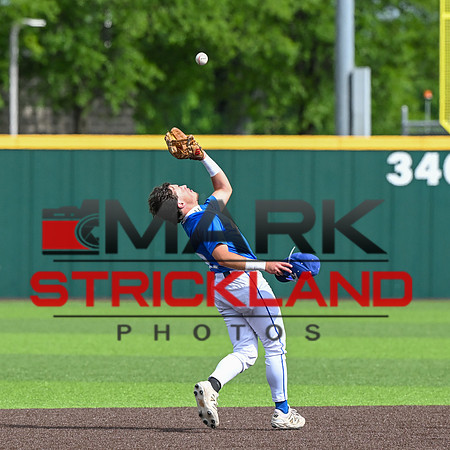 MZ9_6167