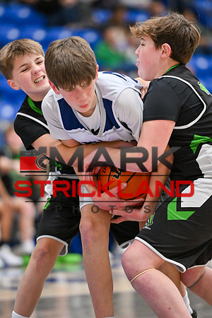 MSP_4260