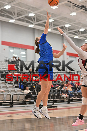 MSP_0357