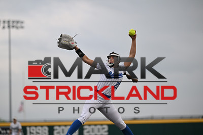 MSP_0985