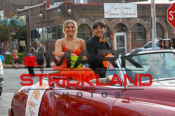 MSP_0246