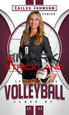 Cailee Johnson_SSVB_Senior 3x5