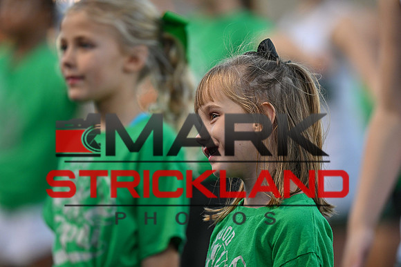MSP_4232