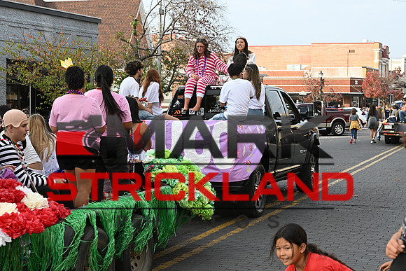 MSP_0261