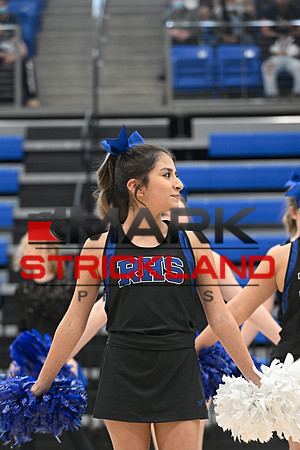 _MSP4538