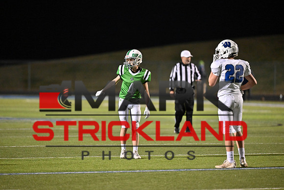 MSP_0066