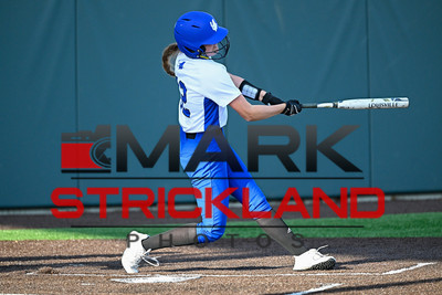 _MSP4288