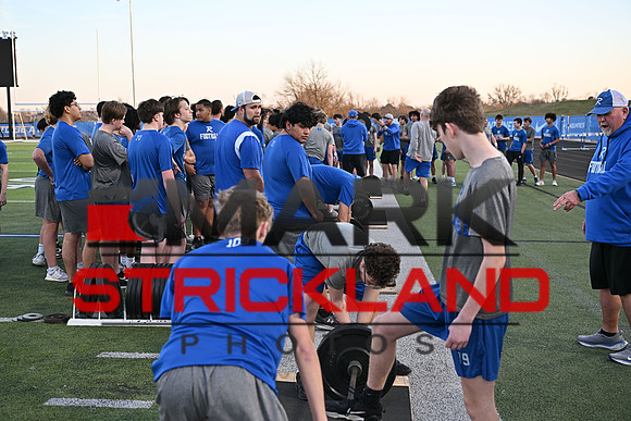 MSP_0333