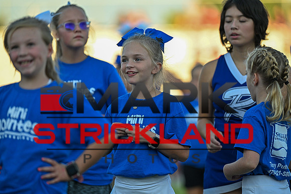 MSP_0349