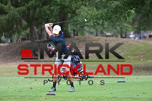 MSP_2466