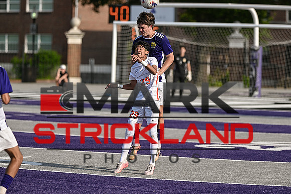MSP_0353