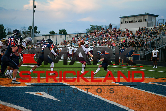 D5_MSP_9090