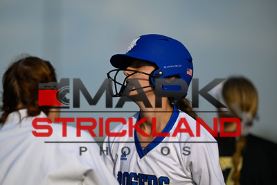 _MSP4441
