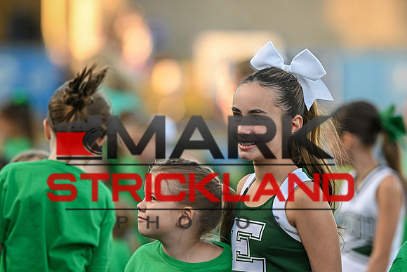 MSP_4222