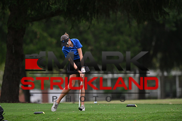 MSP_2280
