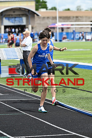 MSP_2013