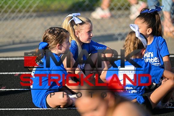 MSP_0294